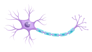 af5187f4b86b758d80f3934dadc1118c_shutterstock_1409962628