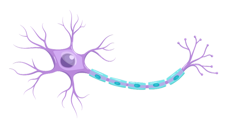 af5187f4b86b758d80f3934dadc1118c_shutterstock_1409962628
