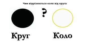 chym-vidriznyayetsya-kolo-vid-kruga