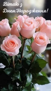 image (1)